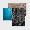 textures